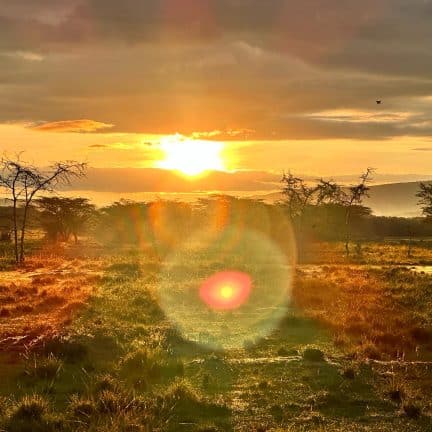 Maasai Mara during sunrise.